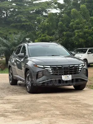 Hyundai Tucson 2023 Gray