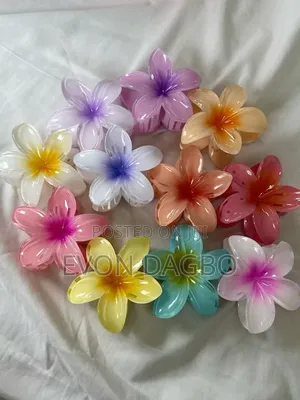Claw Clips