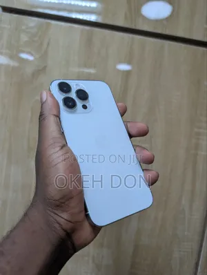 Apple iPhone 14 Pro Max 256 GB Silver