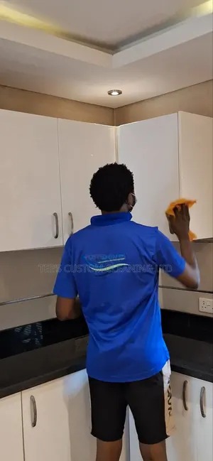 Professional Cleaning and Fumigation