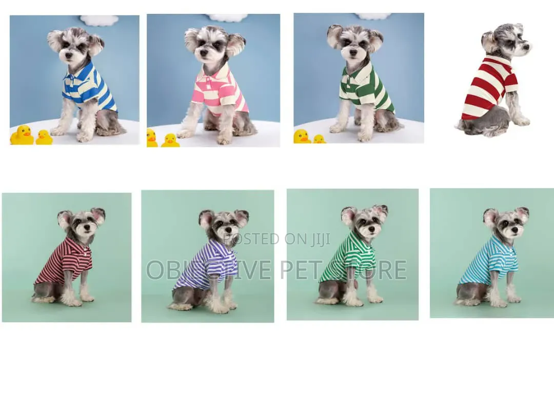 Dog and Cat Clothes