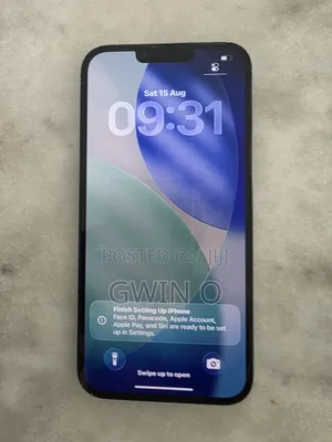 Apple iPhone 14 Plus 256 GB Gray