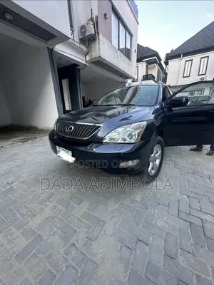 Lexus RX 330 2004 Gray