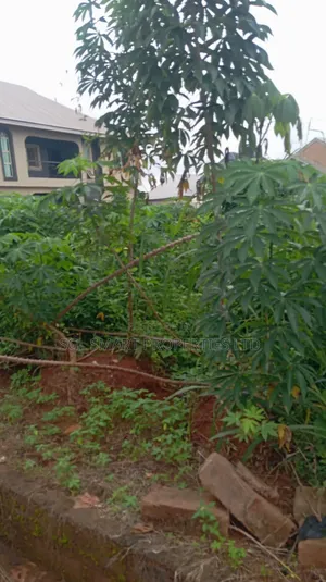 1 Plot of Land for Sale at New Friends Estate