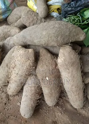 TESSY-BRY Foodbasket