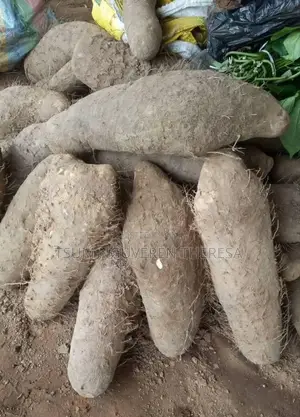 TESSY-BRY Foodbasket