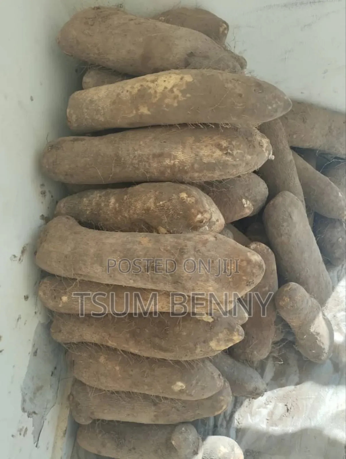 TESSY-BRY Foodbasket