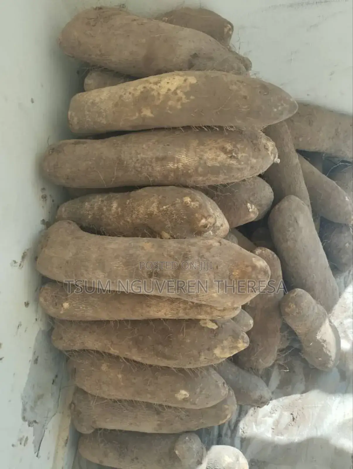TESSY-BRY Foodbasket