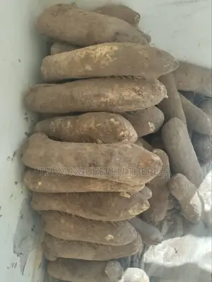 TESSY-BRY Foodbasket