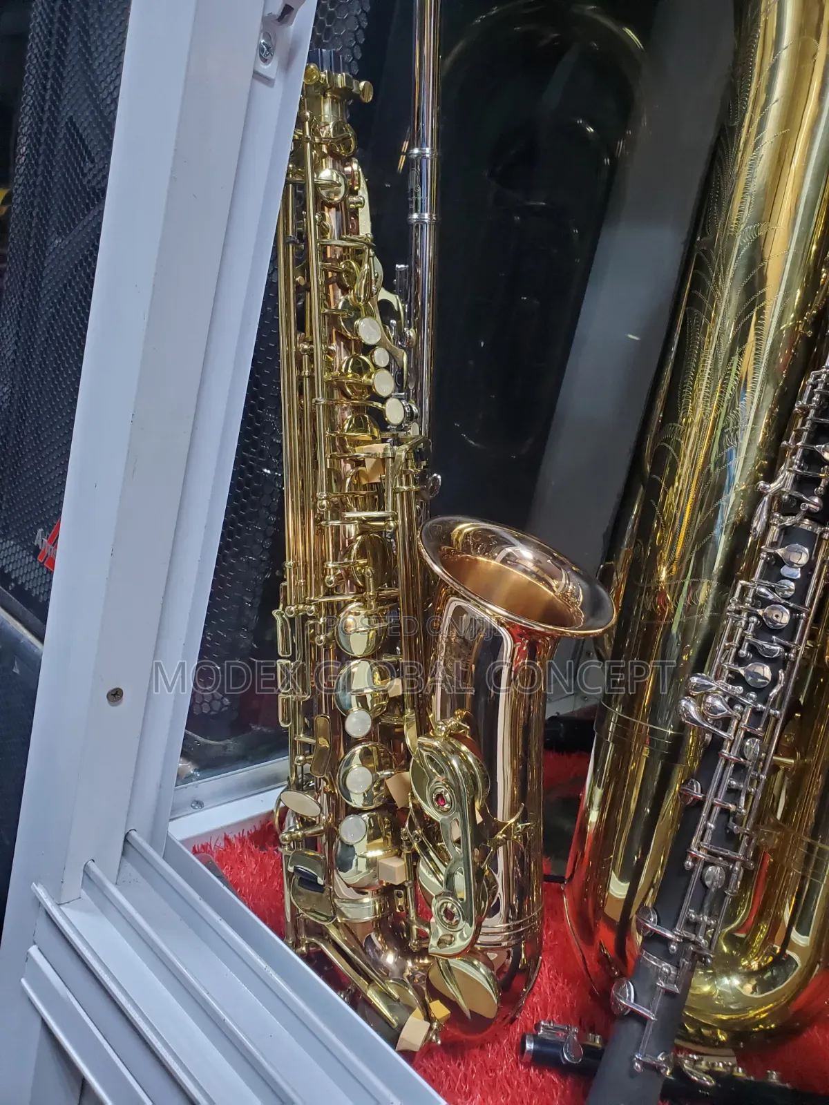 Gold-Lacquered E-Flat Alto Saxophone 🎷