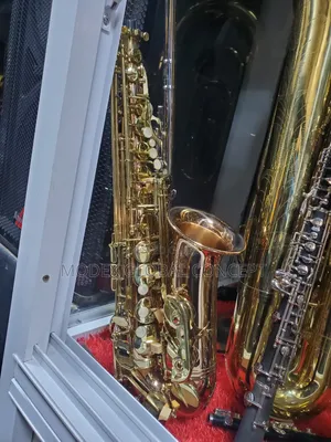 Gold-Lacquered E-Flat Alto Saxophone 🎷