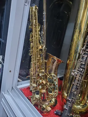 Gold-Lacquered E-Flat Alto Saxophone 🎷