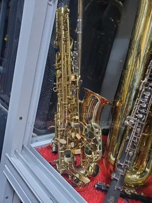 Gold-Lacquered E-Flat Alto Saxophone 🎷