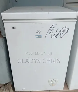 Chest Freezer/Deep Freezer 100 L