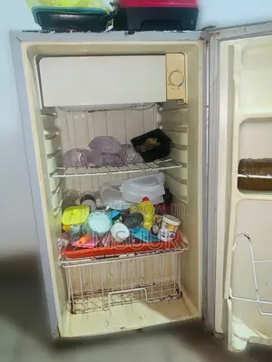Fridge and Stabilizer 1000 Watts