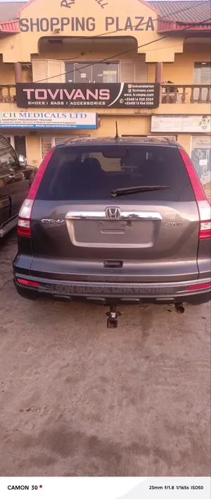 Honda CR-V 2010 Gray