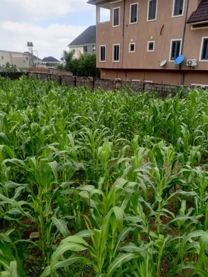 1000sqm Land Dape District
