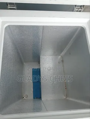 Freezer/Chest Freezer/Germany Used 100 L