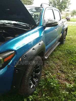 Toyota Tacoma 2009 Blue