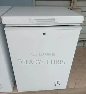 Freezer/Chest Freezer/Germany Used 100 L