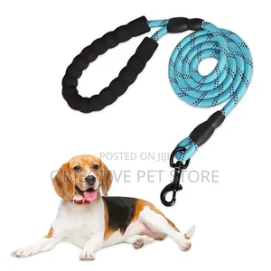 Padded Handle Leash