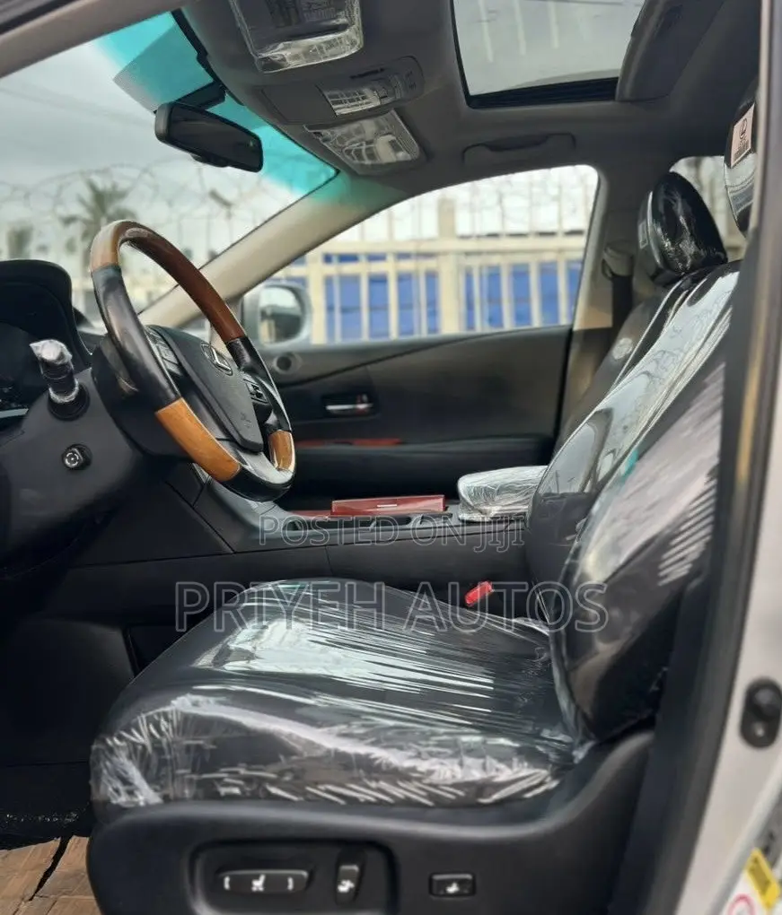 Lexus RX 2010 Silver