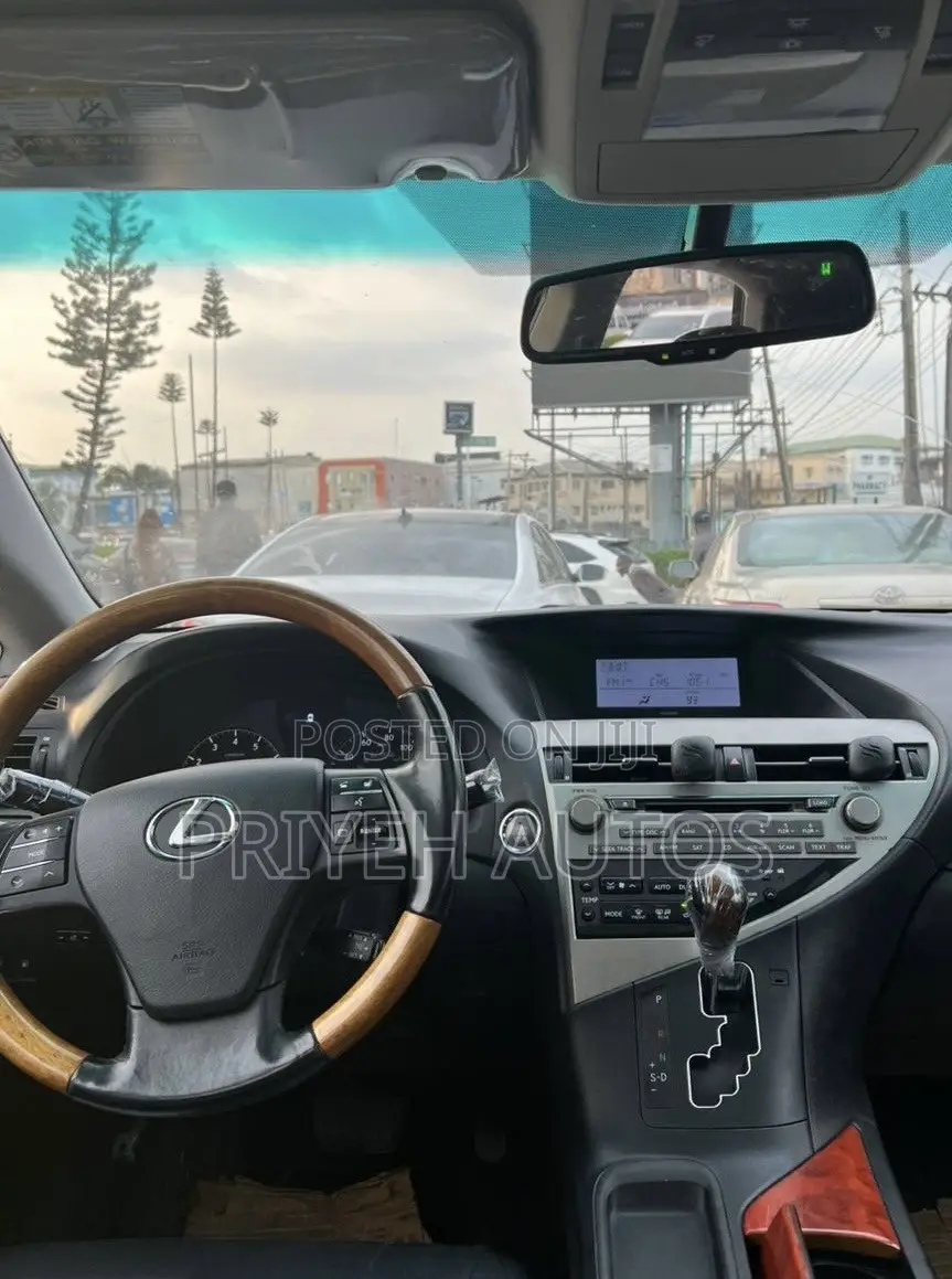 Lexus RX 2010 Silver