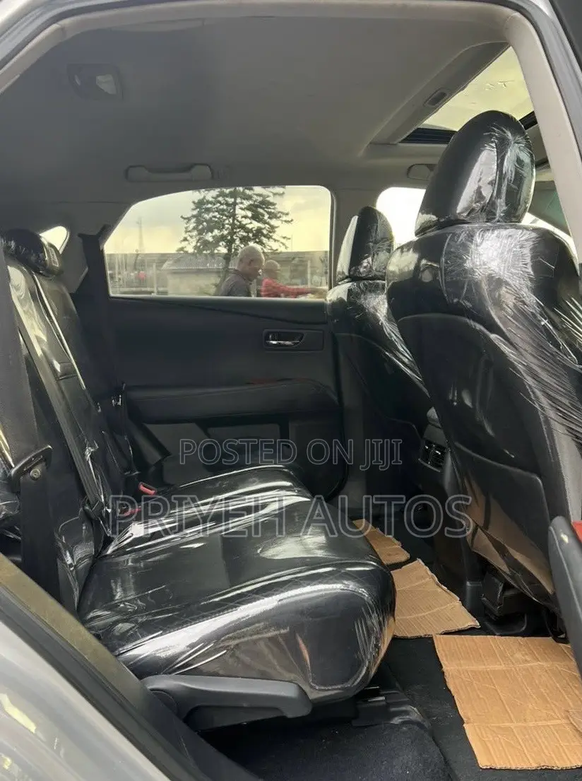 Lexus RX 2010 Silver
