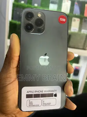 Apple iPhone 12 Pro Max 128 GB Gray