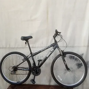 X Rated Mountain Bike