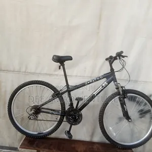 X Rated Mountain Bike