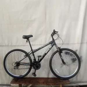 X Rated Mountain Bike