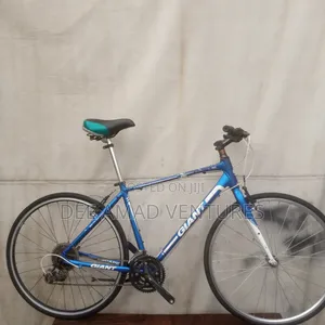 Adult Giant Road Bicycle