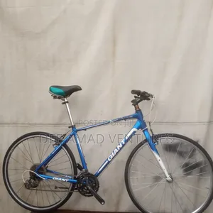 Adult Giant Road Bicycle