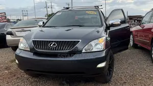 Lexus RX 330 AWD 2006 Gray