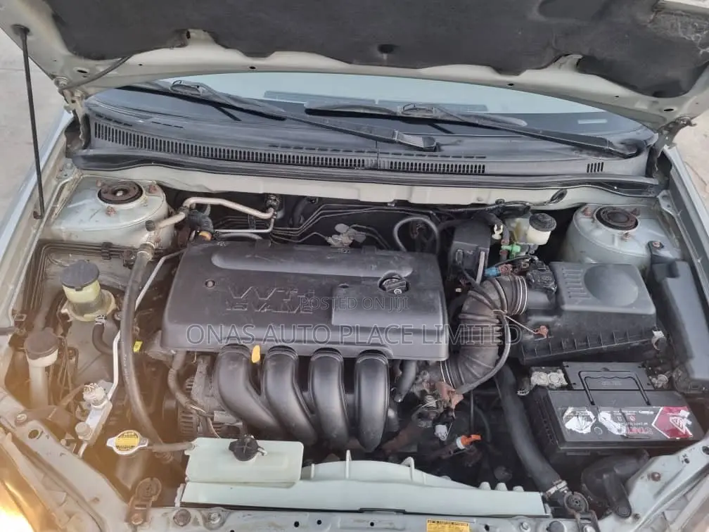 Toyota Corolla 2004 Green