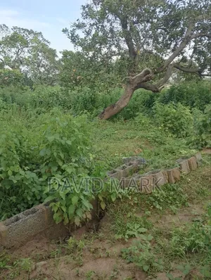 Land for Sale in Custom Bush Gwagwalada