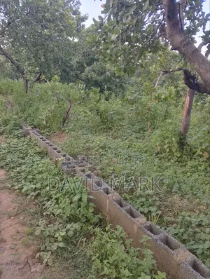 Land for Sale in Custom Bush Gwagwalada