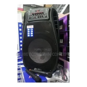 Ailipu PA System Available Trolley Rechargeable Wireless Microphone