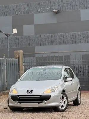 Peugeot 307 2007 Silver