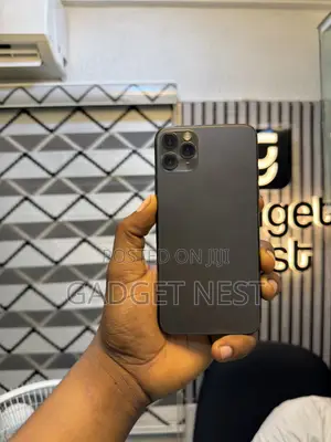 Apple iPhone 11 Pro Max 64 GB Gray