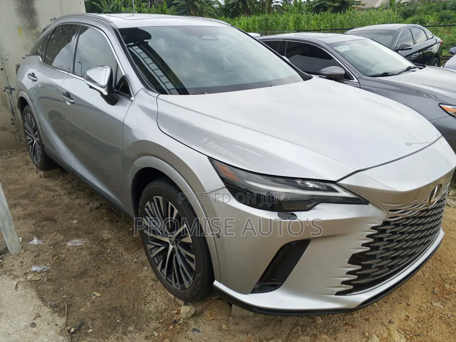 Lexus RX 2024