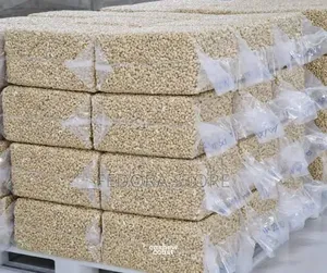 Cashew Nuts in Kg Tonnes (Any Grade)