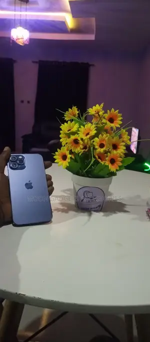 Apple iPhone 12 Pro Max 256 GB Blue