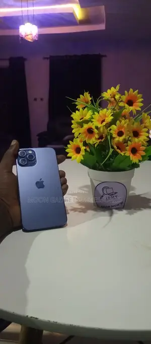 Apple iPhone 12 Pro Max 256 GB Blue