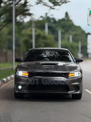 Dodge Charger 2017 Gray