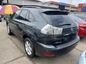 Lexus RX 330 2004 Gray