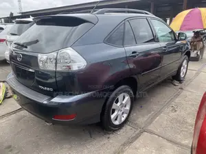 Lexus RX 330 2004 Gray