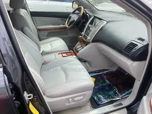 Lexus RX 330 2004 Gray