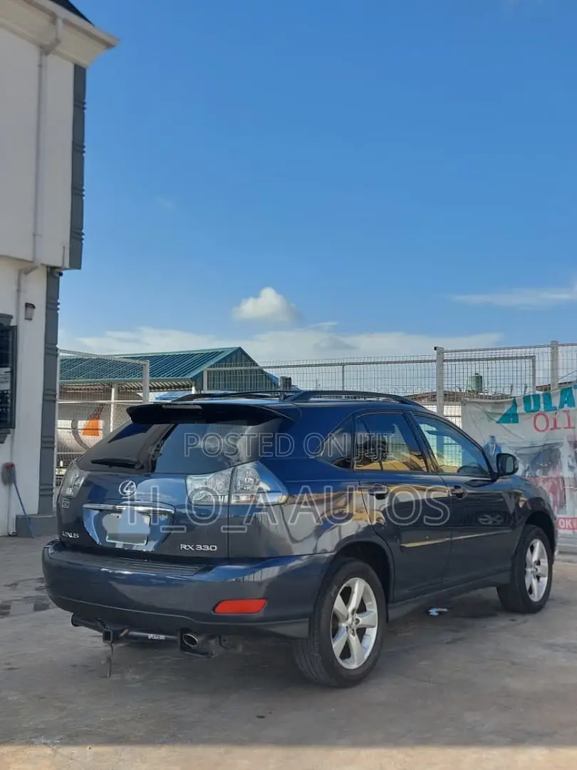 Lexus RX 330 2005 Gray